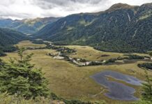 Z jakiego tytułu można być ubezpieczonym?