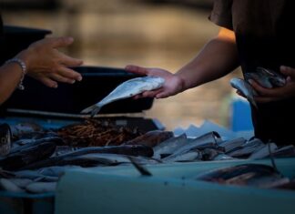 Jak sprzedawać kursy językowe?