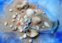 Ile razy w tygodniu ćwiczyć zumbę? Ile razy w tygodniu ćwiczyć zumbę?