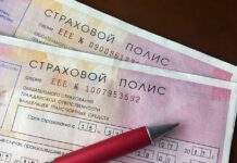 Czym różni się polisa od ubezpieczenia?