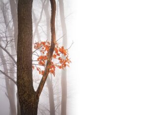 Jakie mogą być negatywne cechy charakteru?