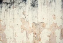 Jaki program do montowania filmów za darmo? Jaki program do montowania filmów za darmo?