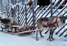 Ile slajdów na 10 minut prezentacji?