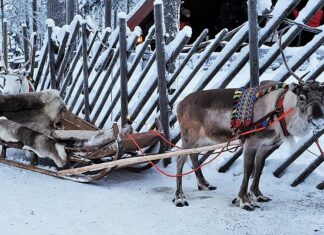 Ile slajdów na 10 minut prezentacji?