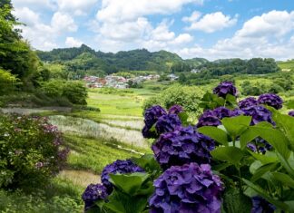 Czy tabata jest dla początkujących?